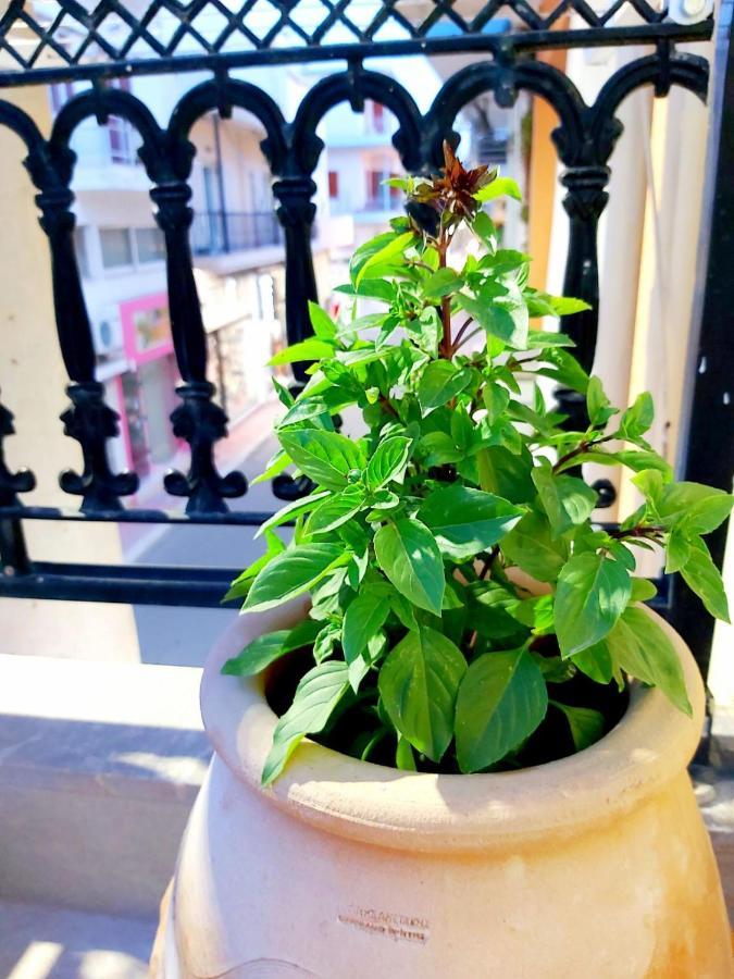 Sitia City Center Luxury Apartment 외부 사진